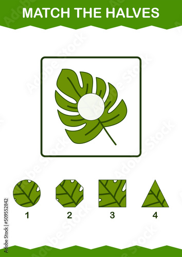 Match halves of Monstera. Worksheet for kids