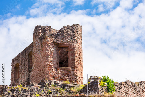 Wachtenburg - Ruine Burg Wachenheim