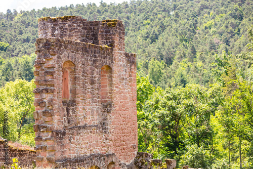 Wachtenburg - Ruine Burg Wachenheim photo