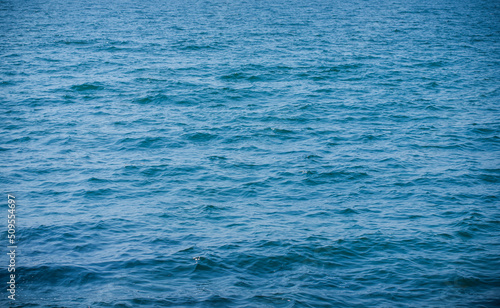 sea and ocean background