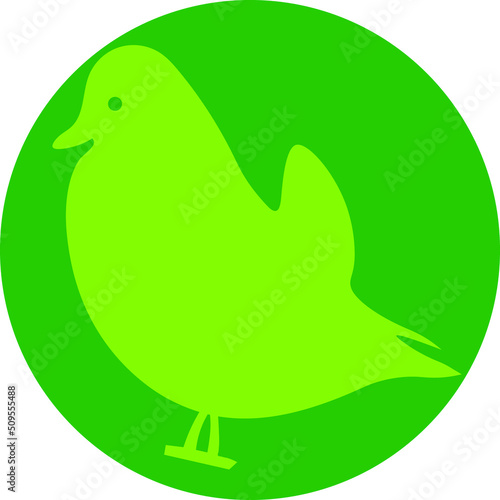 mandarin duck bird icon vector