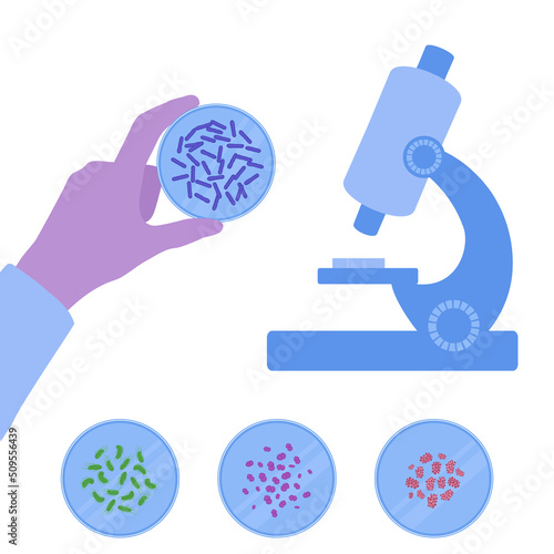 Bacteria cells in the petri dishes under the microscope. Scientist conducting a clinical study. Research of microbes. Biochemistry and analysis concept. Vector illustration.