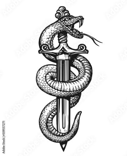 Hand drawing snake wrapped around dagger. Tattoo vector illustration in vintage engraving style