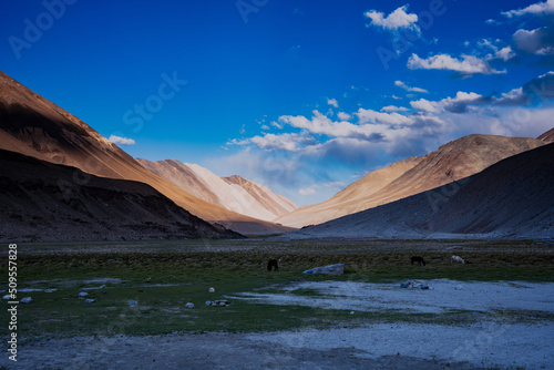 Ladakh Valley