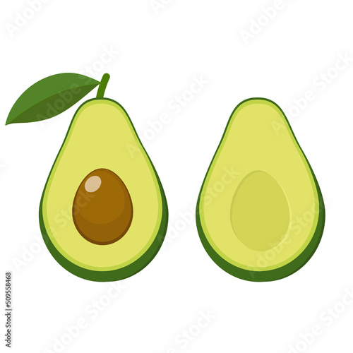 Avocado, avocado isolated on white background, set, organic food, design element organic food vector, vector illustration for design