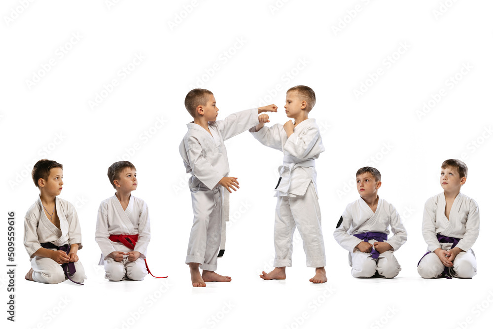 Little beginner karate fighters in white doboks and colorful belts training isolated on white background. Concept of sport, martial arts, education, childhood Little beginner karate fighters in white doboks and colorful belts training isolated on white background. Concept of sport, martial arts, education, childhood