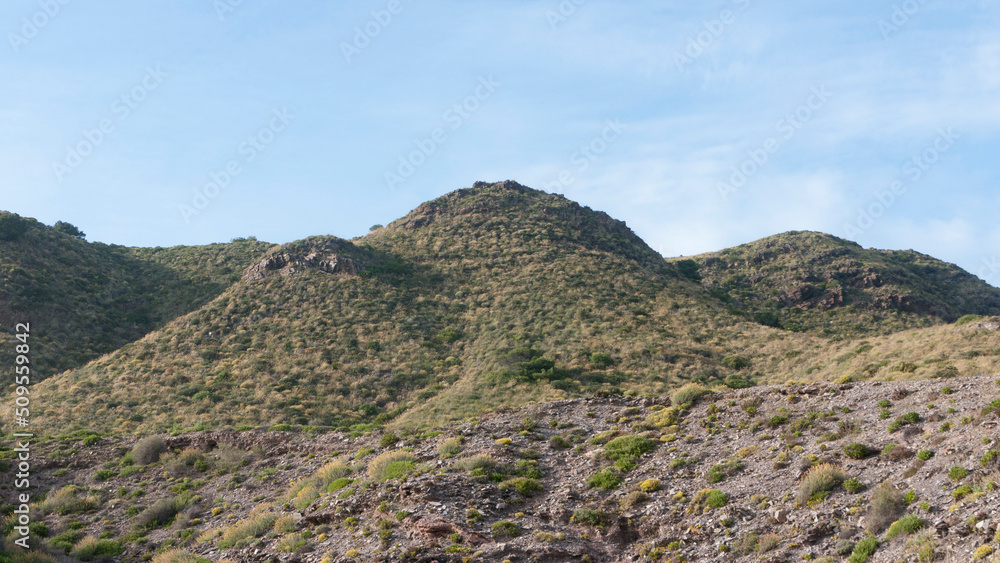 Montes rocosos cubierto de arbusto y pino en parque natural del litoral mediterraneo