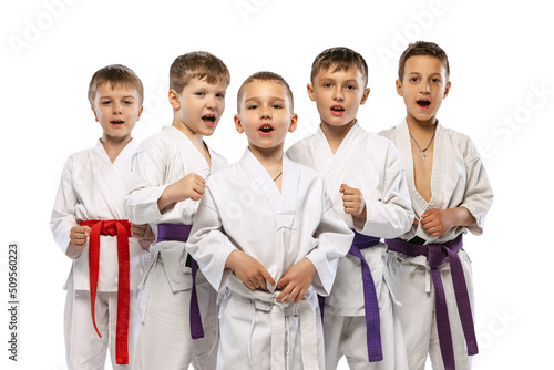 Group of happy children, beginner karate fighters in white doboks standing together isolated on white background. Concept of sport, martial arts, education