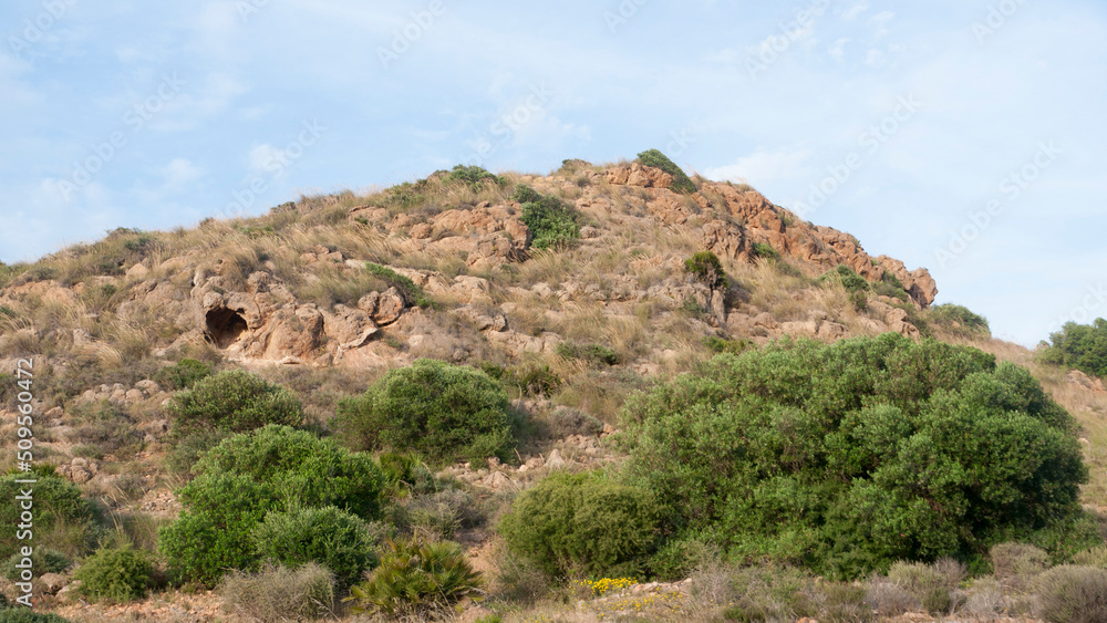 Montes rocosos cubierto de arbusto y pino en parque natural del litoral mediterraneo