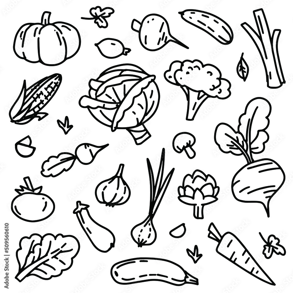 Vector vegetables set. Simple, primitive icon organic collection. Tomato, cabbage, onion, cucumber, broccoli, corn, pumpkin, carrot, greenery black and white, line art hand drawn elements.