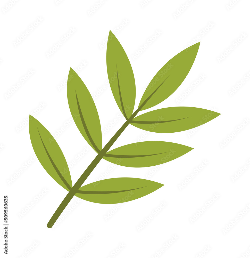 Fototapeta premium Brunch with leaves. Vector illustration
