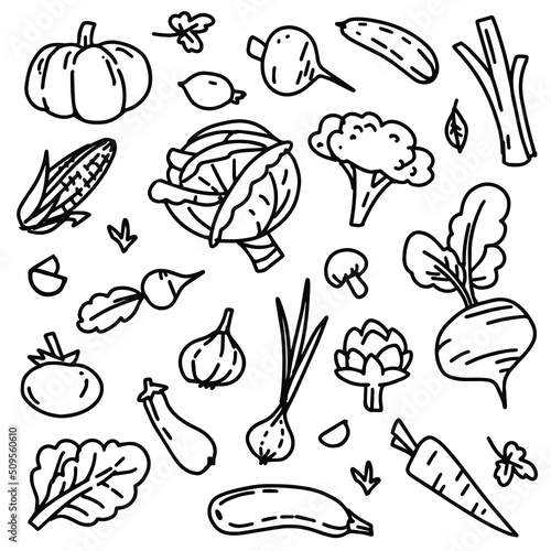 Vector vegetables set. Simple  primitive icon organic collection. Tomato  cabbage  onion  cucumber  broccoli  corn  pumpkin  carrot  greenery black and white  line art hand drawn elements.