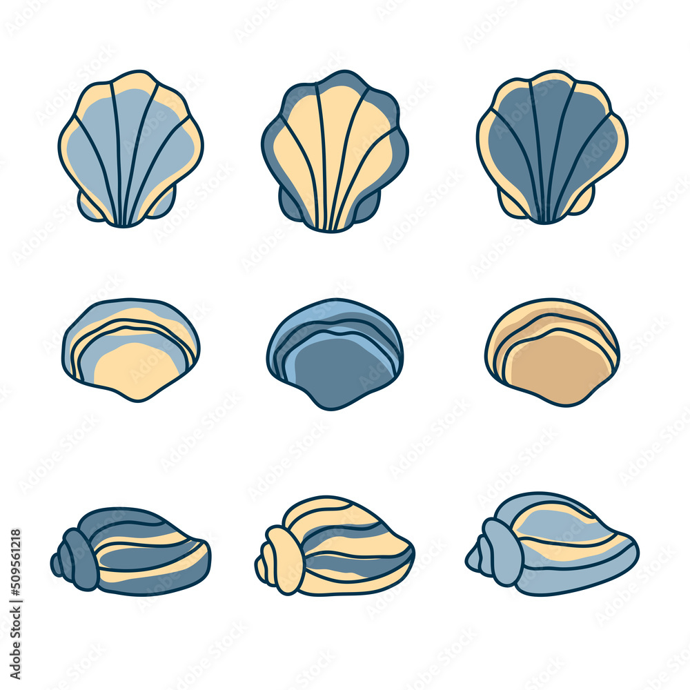 decorative molluslk sea vacation vector ocean seashells set collection vintage aquatic element decorative molluslk sea vacation vector ocean seashells set collection vintage aquatic element