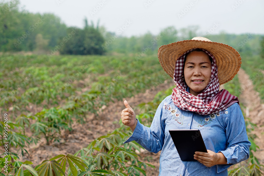 Asian woman farmer is at  cassava plantation in rural of Thailand, holds smart tablet to check and record quality of growth. Concept : smart farmer use wireless technology in agriculture            