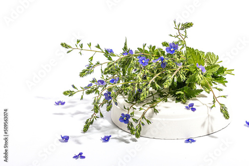 Blue forget me not flowers bouquet on trendy stand isolated on white background. Springtime concept