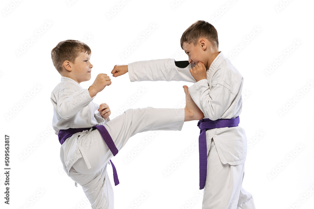 Dynamic portrait of two little boys, taekwondo or karate athletes wearing doboks training together isolated on white background. Concept of sport, martial arts Dynamic portrait of two little boys, taekwondo or karate athletes wearing doboks training together isolated on white background. Concept of sport, martial arts