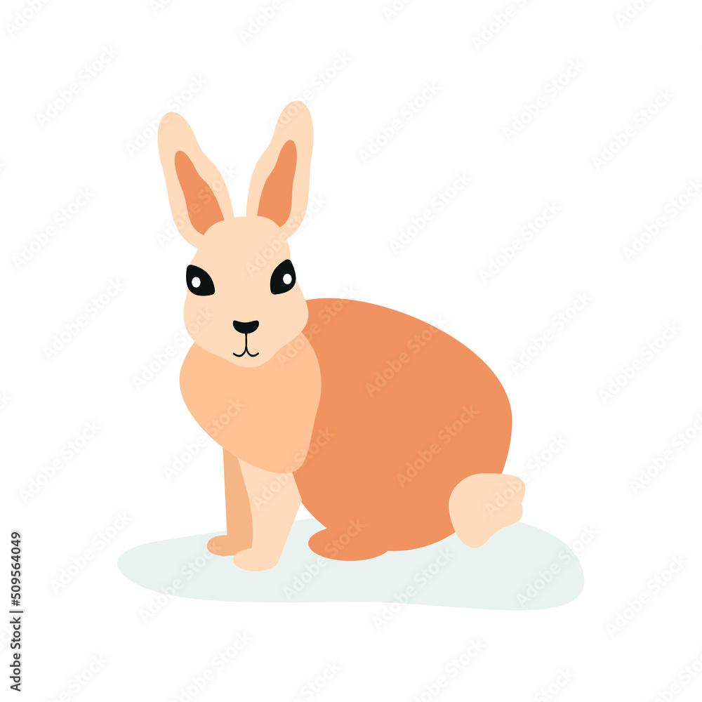Obraz premium The hare sits sideways and looks ahead