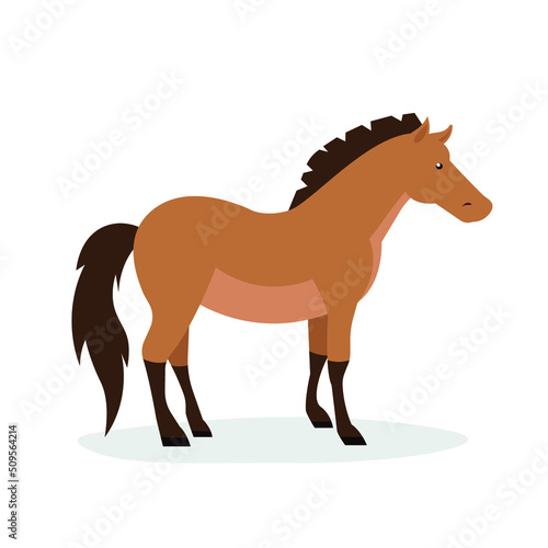 Brown horse stands on its hooves