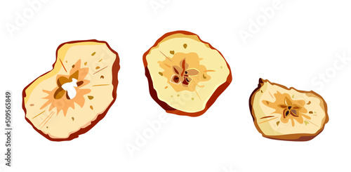 Vector illustration of dried apples, sliced dried fruits. Slices of apple chips, baked fruits isolated on white background. Healthy food and vegan diet. It can be used for packaging design and labels