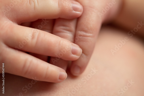 Close up of tiny newborn fingers