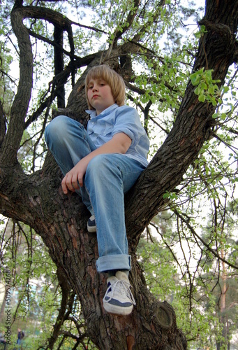 child on tree