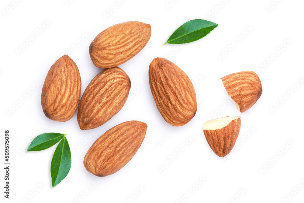 almonds isolated on white almonds isolated on white