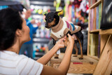 Asian woman puts winter clothes on her dog doberman pinscher at pet shop