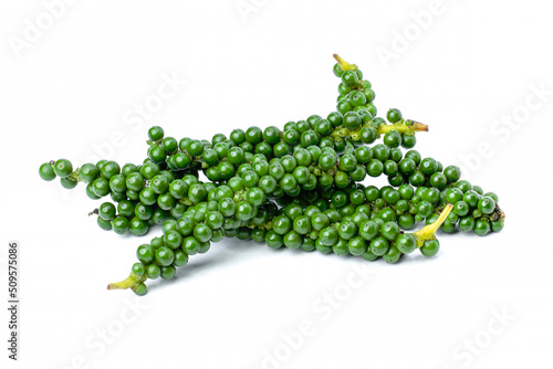 green peppercorn isolated on white background.  photo