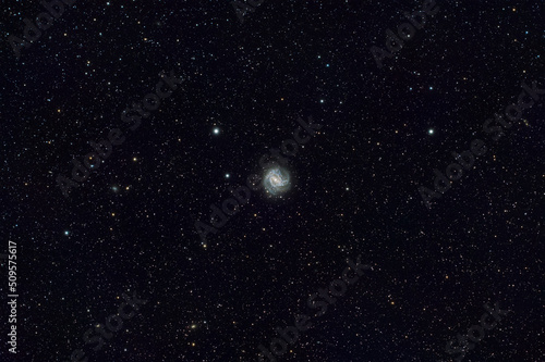 Fototapeta Naklejka Na Ścianę i Meble -  Spiral Galaxy M83 wide field