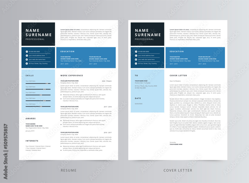 Professional Resume/CV and Cover Letter Template Professional Resume/CV and Cover Letter Template
