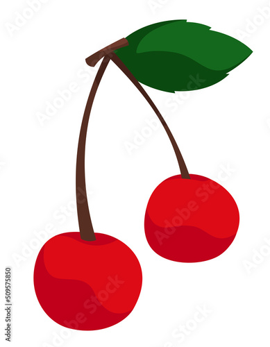 Two ripe cherries. Berries in cartoon style.