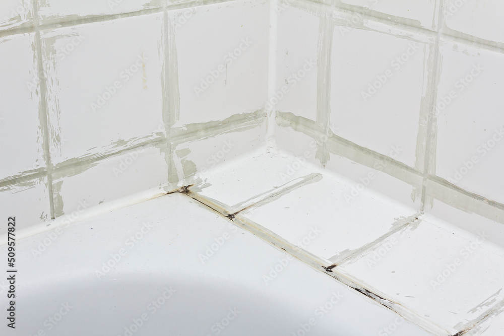 Rental damage concept filthy tiles above the bath tub with black mold
