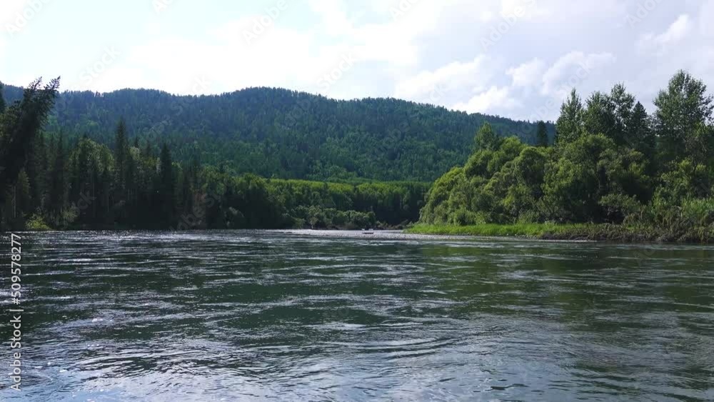 Huge 30-meter Siberian spruce trees were washed away by river during ...