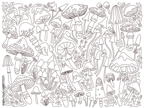 Collection of vector forest mushrooms in retro style  60s  70s. Black and white linear illustration in doodle style. Mushrooms  toadstools  fly agaric.