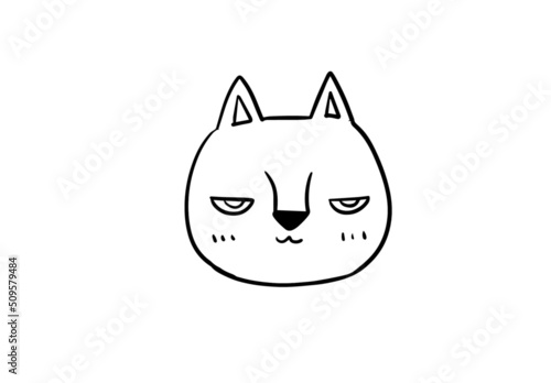 shy cat
