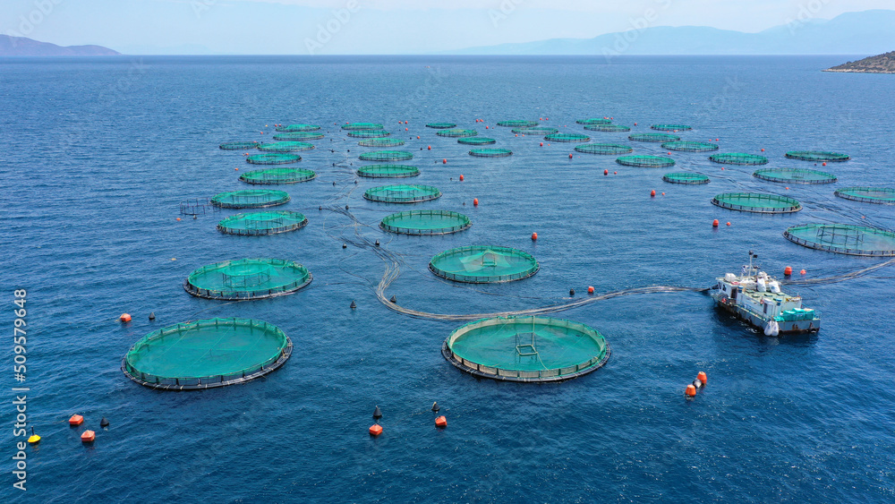 Aerial drone photo of sea bass and sea bream fishery or fish farming unit in Mediterranean calm deep blue sea