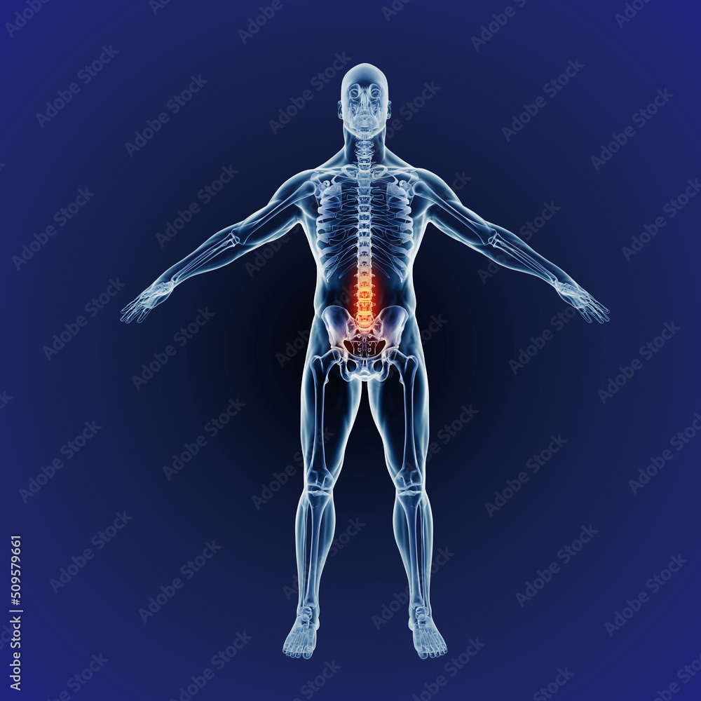 Lower back pain. Facing crippling inflammation and pain. Computer generated illustration of the human body indicating the skeletal structure Lower back pain. Facing crippling inflammation and pain. Computer generated illustration of the human body indicating the skeletal structure
