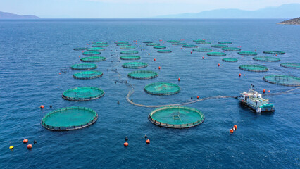 Aerial drone photo of sea bass and sea bream fishery or fish farming unit in Mediterranean calm deep blue sea