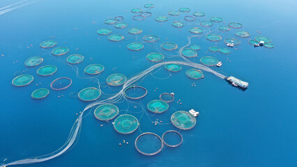 Aerial drone photo of sea bass and sea bream fishery or fish farming unit in Mediterranean calm deep blue sea