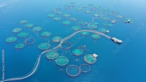 Aerial drone photo of sea bass and sea bream fishery or fish farming unit in Mediterranean calm deep blue sea photo