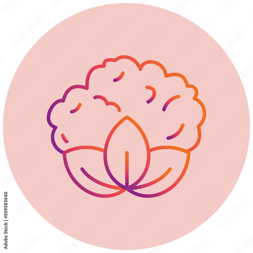 Cauliflower Icon Cauliflower Icon