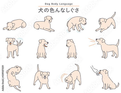 犬の色んなしぐさイラストセット