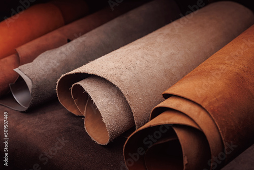 Canvas Print Different rolls natural leather brown and beige color dark background