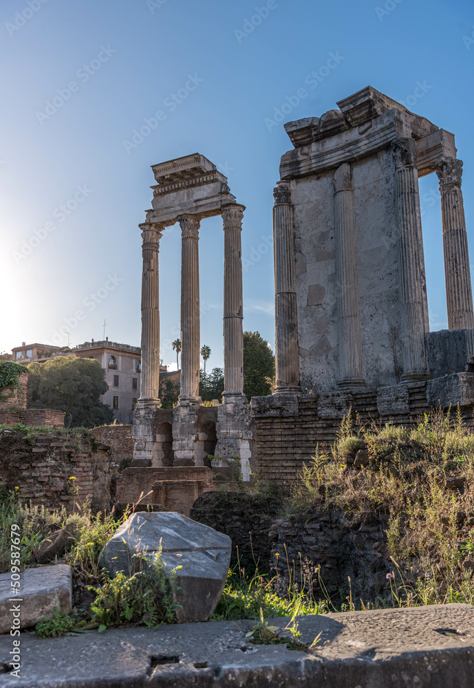 Np.790:The Roman Forum was home to some of the oldest and most important buildings in the ancient city. What you see today is a mass of ruins, including sanctuaries and temple, Rome, Italy