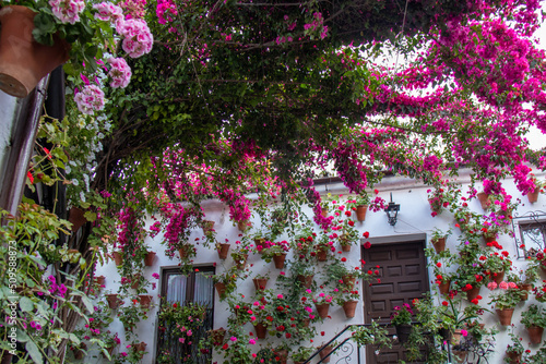 Patio full of flowers in spring, Cordoba, Spain.