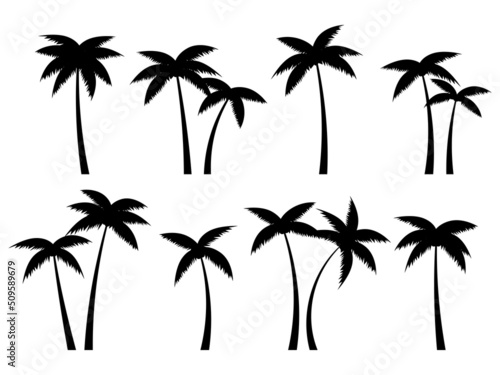 Black palm trees set isolated on white background. Palm silhouettes. Design of palm trees for posters, banners and promotional items. Vector illustration