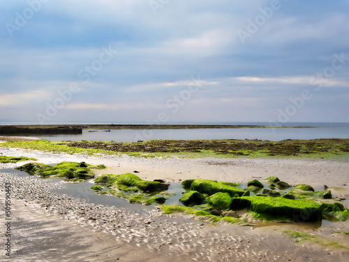 Algae Covered Rocks - Lyme Regis Dorset photo