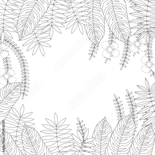 Photography Coloring book page with frame from the plants