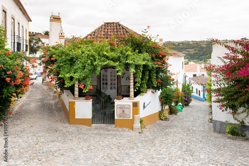 Bild auf Leinwand White houses with terracotta roof tiles in tourist village Obidos