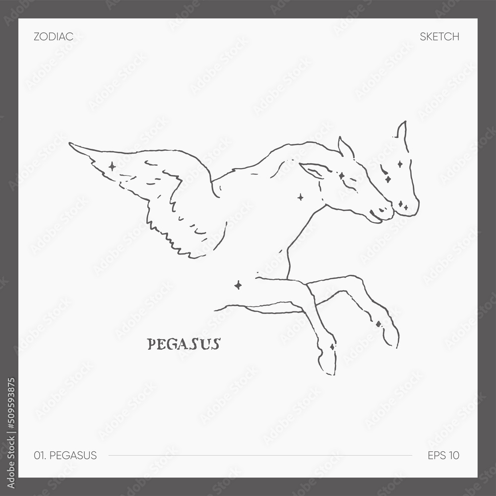 Illustration of astrological zodiac Pegasus